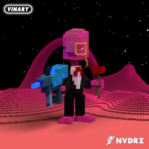 Vinary - Bring It Back [NVDRZ122]